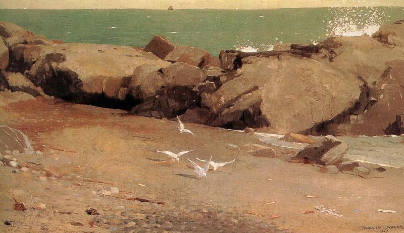 Winslow Homer Rocky shore and the seagulls France oil painting art